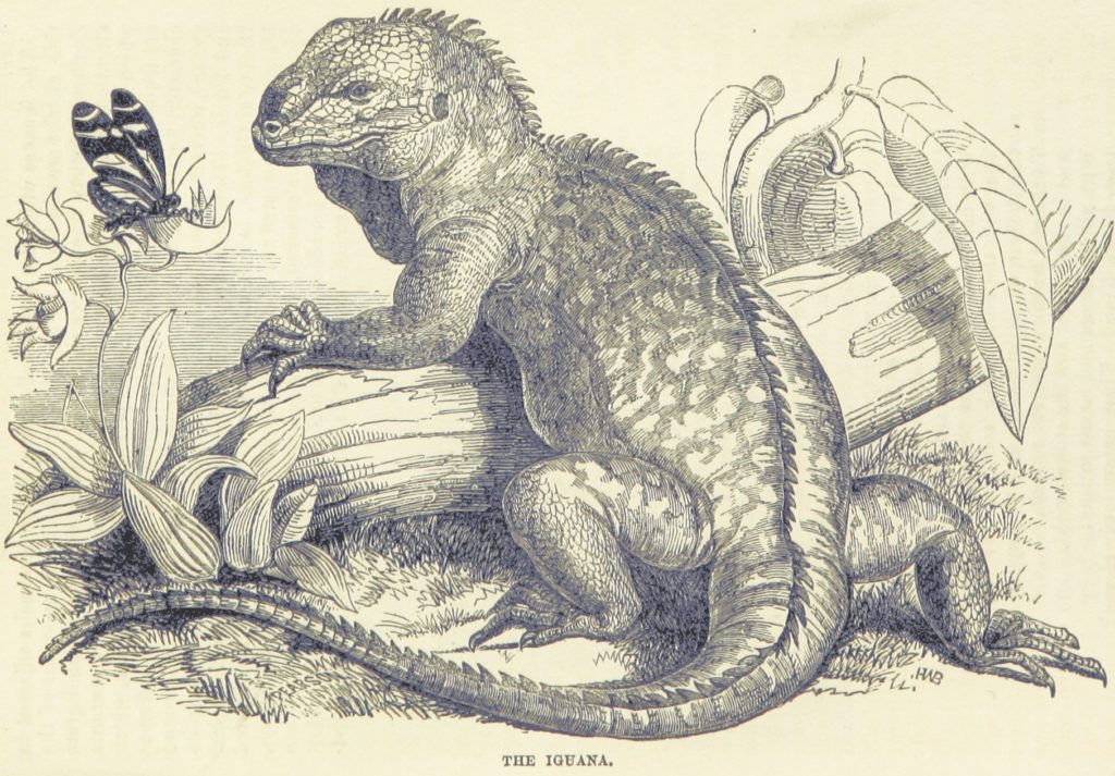 Mary Ann Britland book thankyous